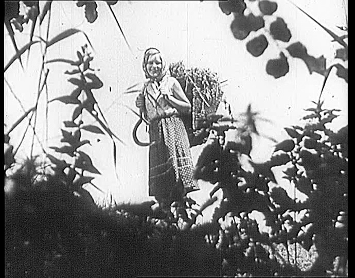 Filmexport Home Video (frame 80649)