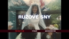 Main menu (Slovak)