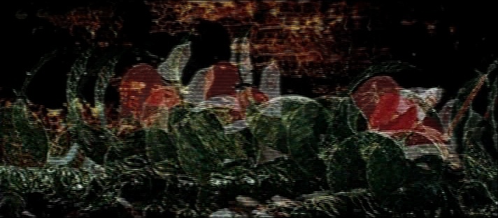 AK Vidéo (frame 8475)