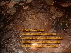 Main menu