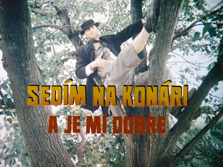 SFI / Blu-ray (frame 7066)