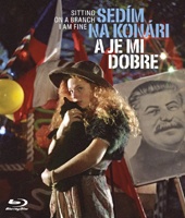 Slovak Film Institute (SK) / Blu-ray Slovak Film Institute (SK) / Blu-ray
