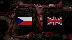 Menu language selection