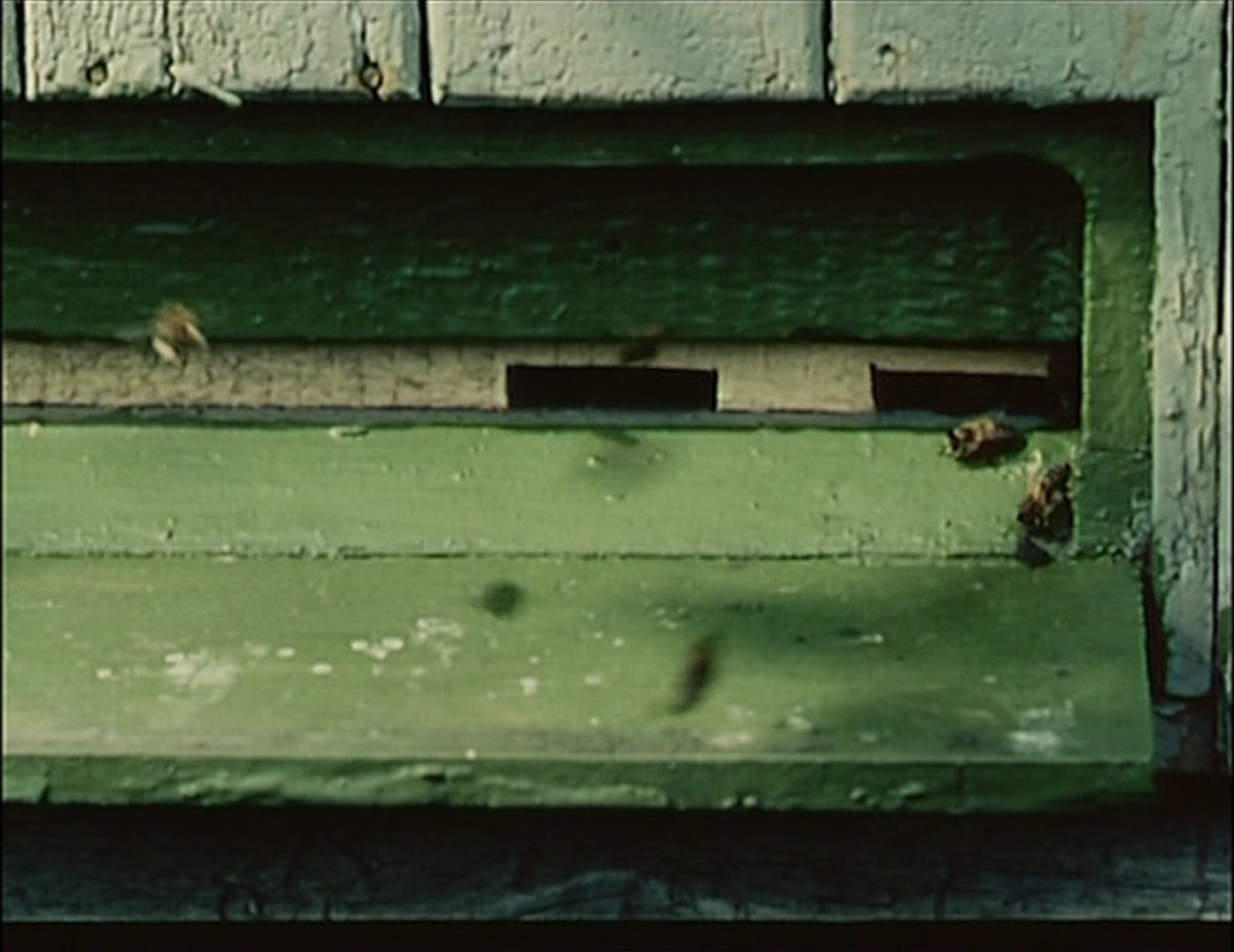 Slovak Film Institute (frame 12708)