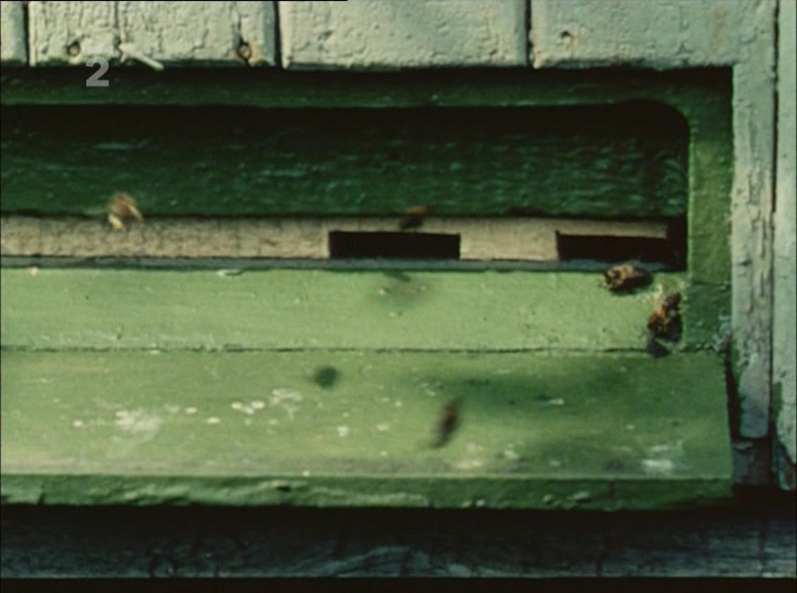 ČT2 DVB (frame 12686)