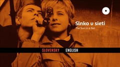 Menu language selection