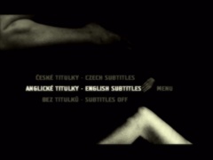 Subtitles