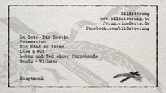 Bildstörung