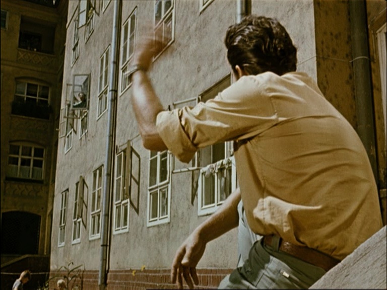 SFI & The Daily SME (frame 30412)