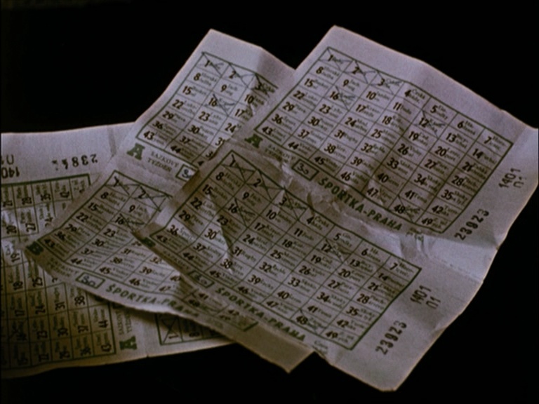 SFI & The Daily SME (frame 119533)