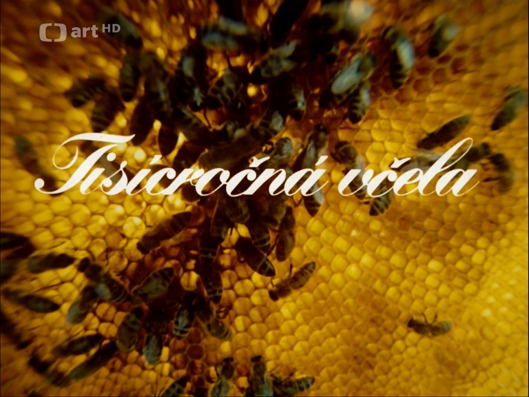 ČT art HD DVB (frame 1127)