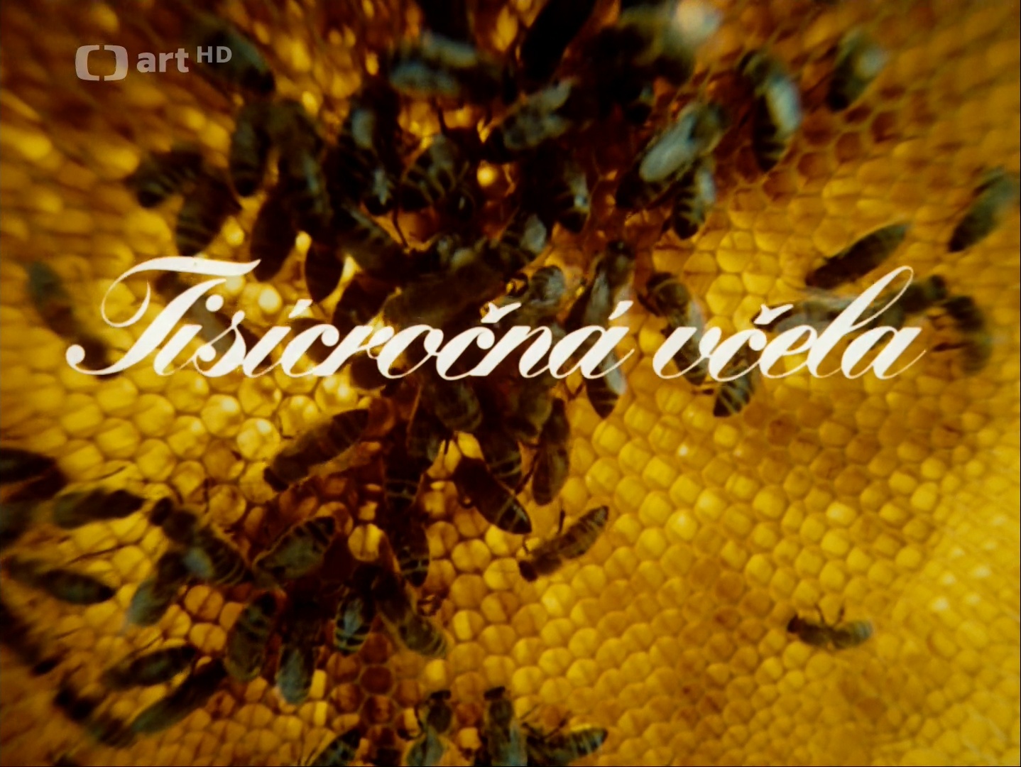 ČT art HD DVB (frame 1127)