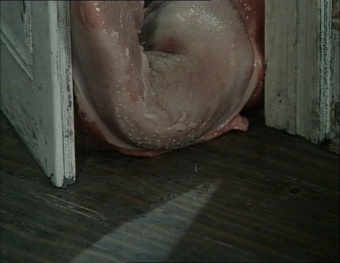 BFI (frame 4800)