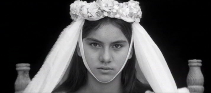 Facets Video (snímek 6000)