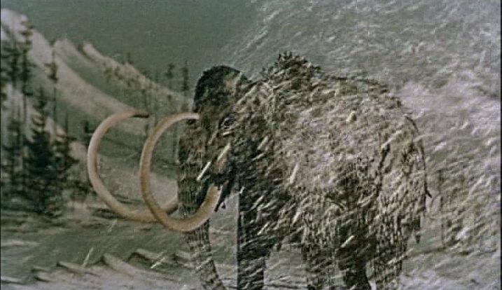 Sinister Film (frame 2464)