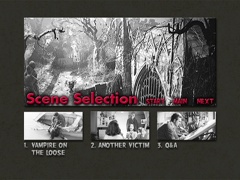 Scene selection