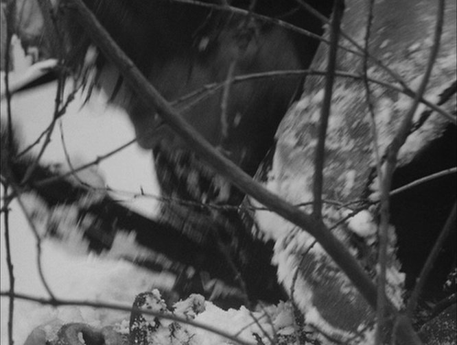Eclipse / Criterion Collection (frame 37942)