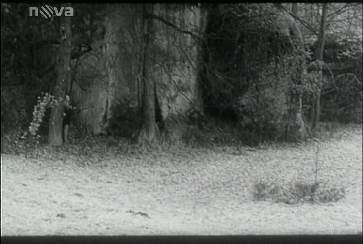 TV Nova DVB (frame 36368)