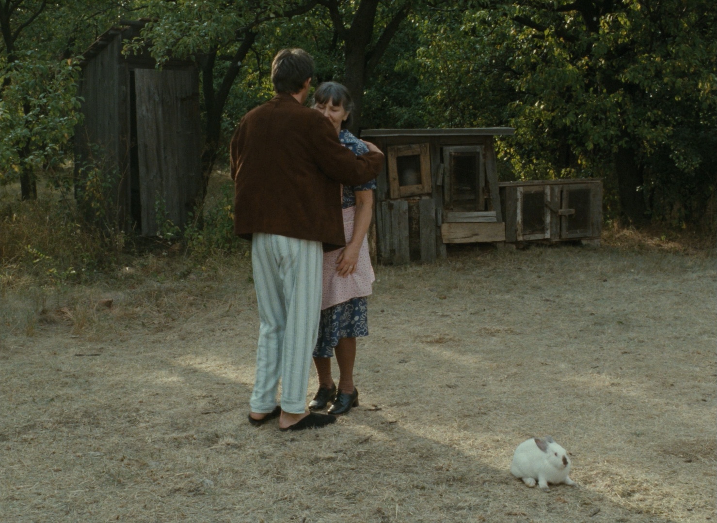 Slovak Film Institute / Blu-ray (frame 90388)