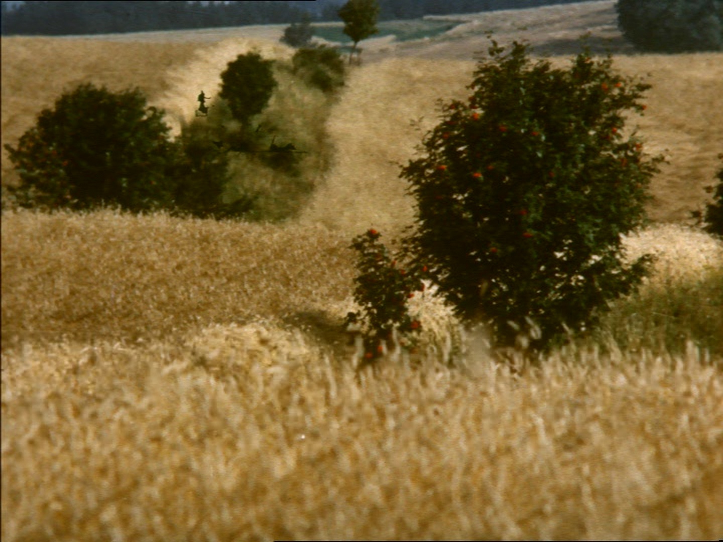 CČV/Bonton (frame 79606)