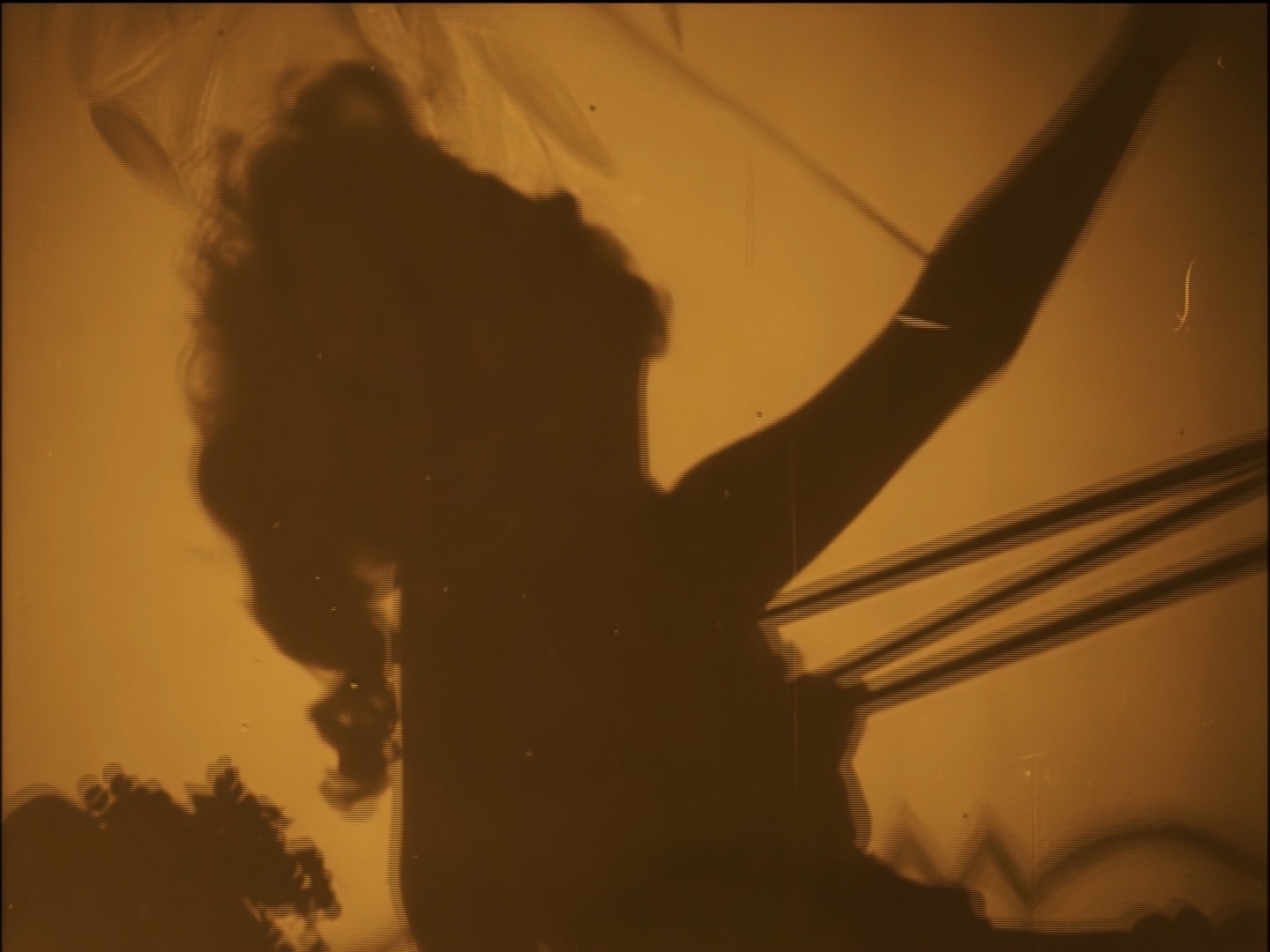 Redwood Creek Films (frame 109981)