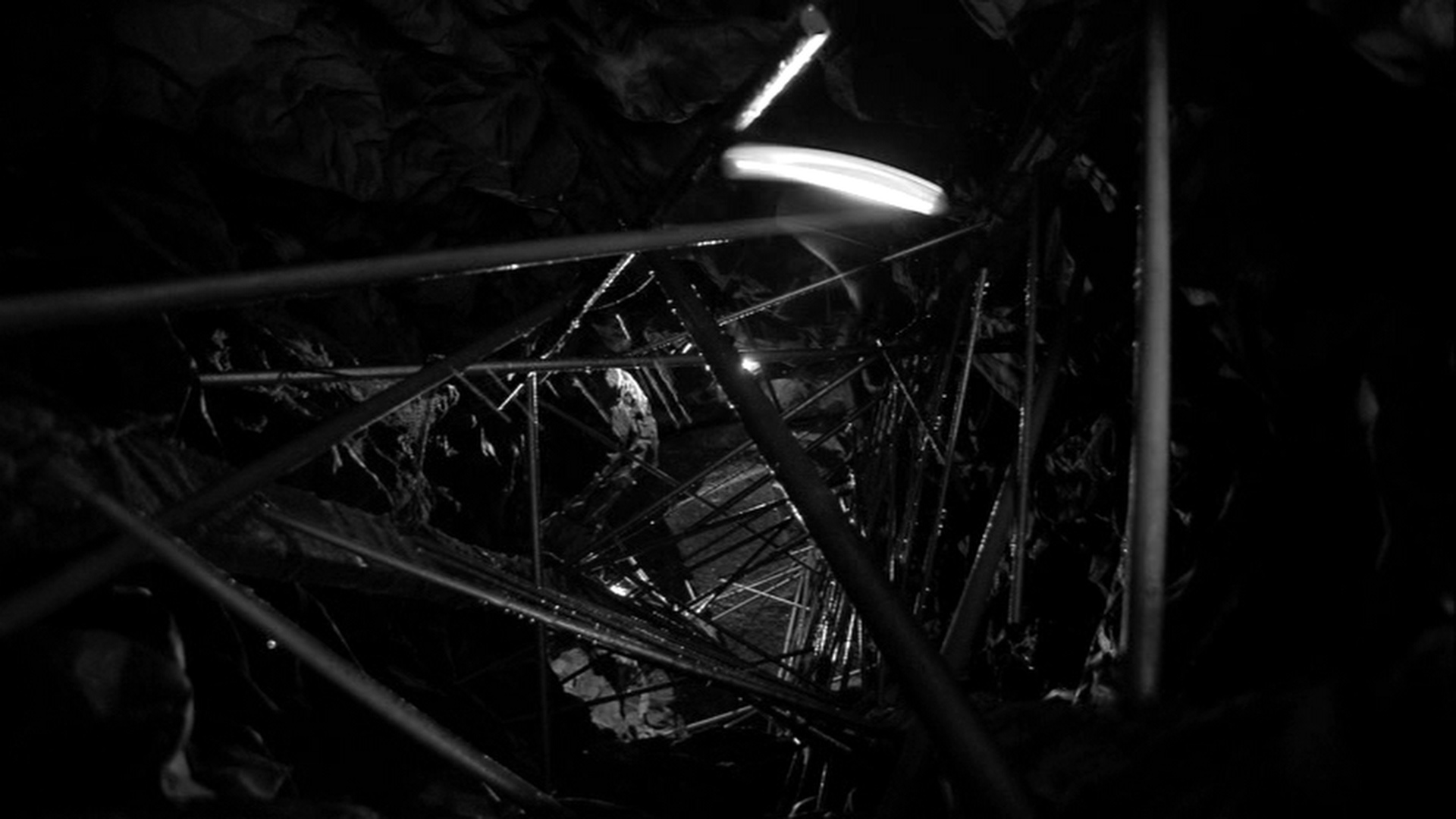 HPLHS (frame 130651)