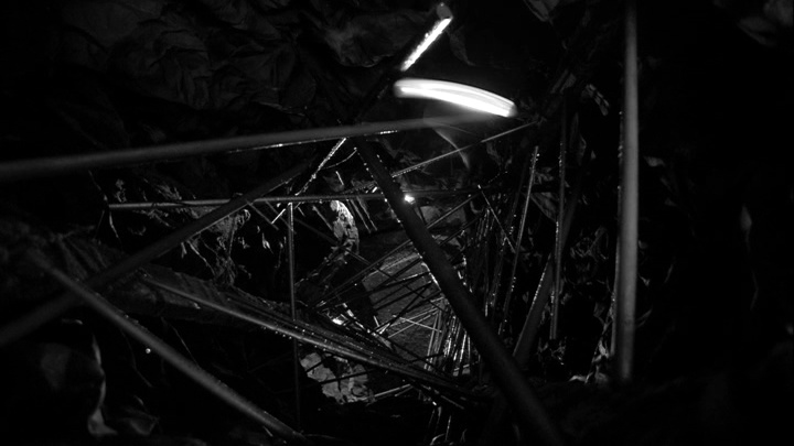 HPLHS (frame 130651)