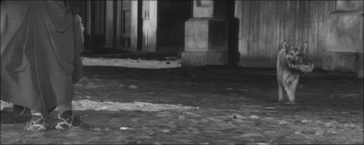 Levné knihy KMa / Filmhouse (snímek 9808)