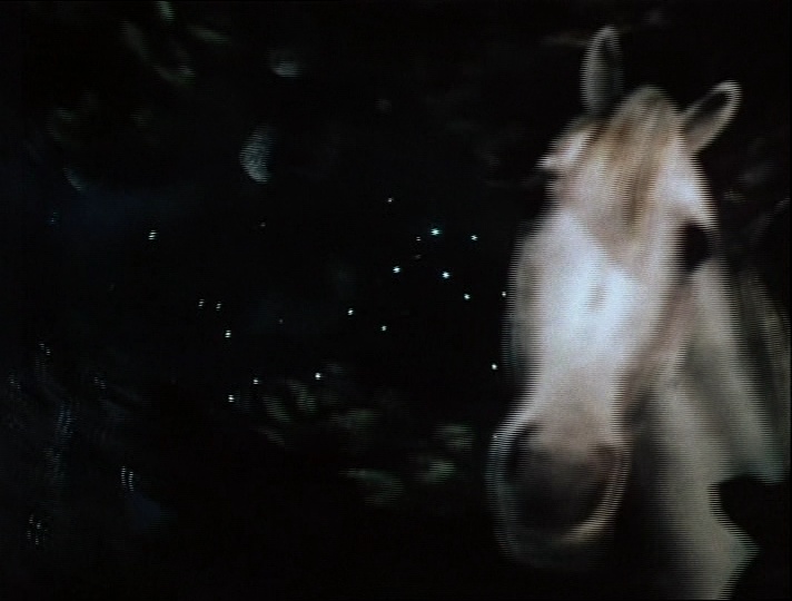 AK Vidéo (frame 12040)
