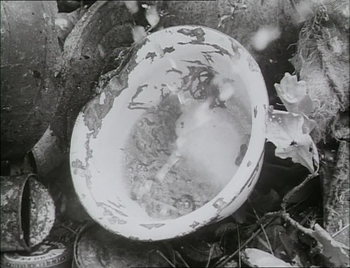 BFI (frame 292)