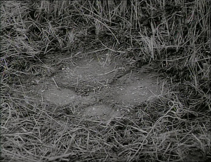 BFI (frame 14432)