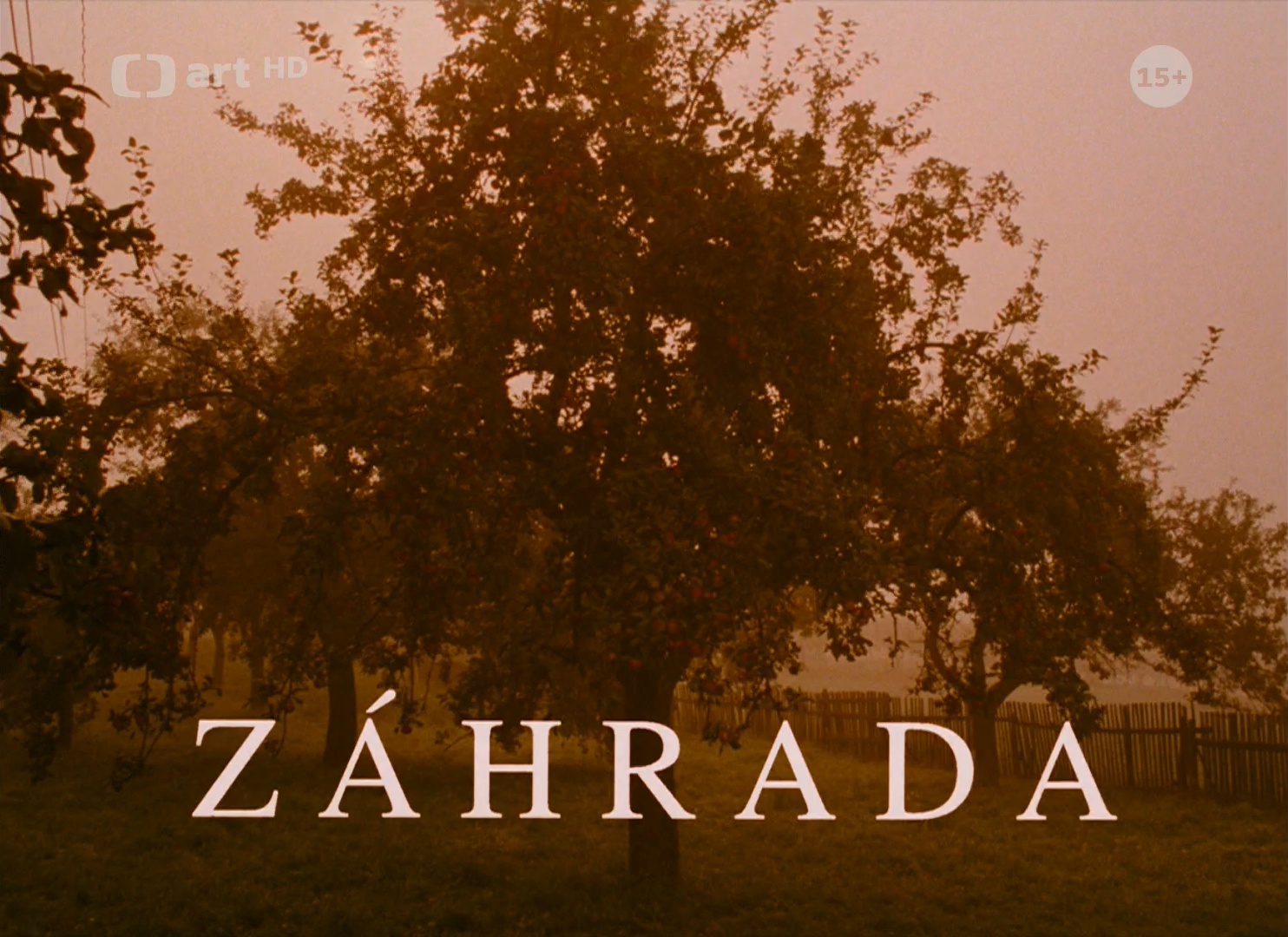 ČT art HD DVB (frame 1135)