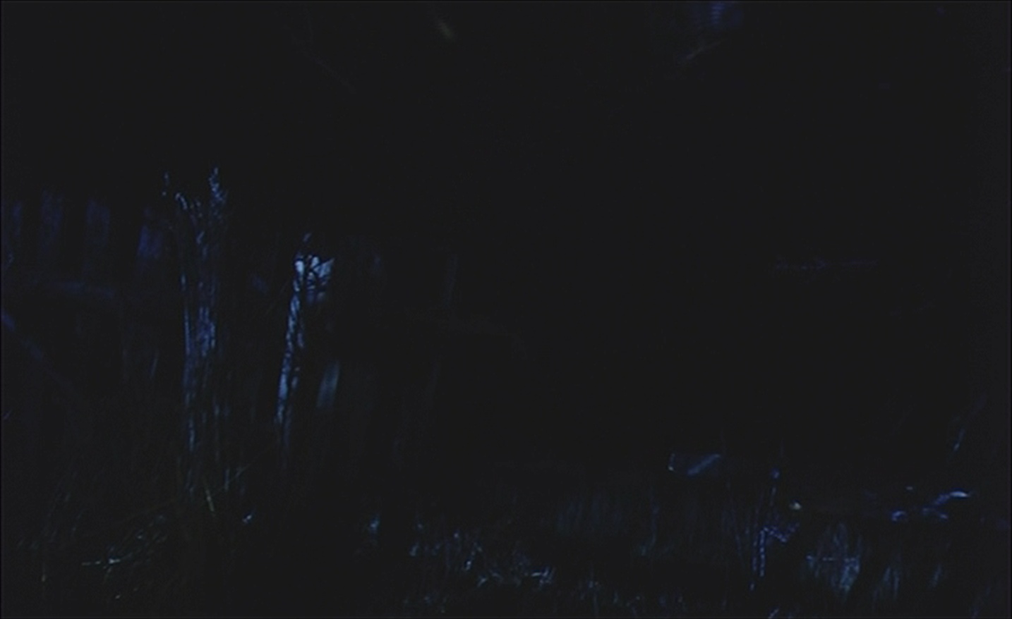 Uplink (frame 122648)