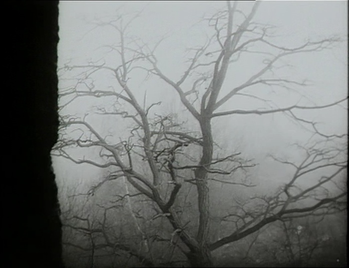 BFI (frame 2363)