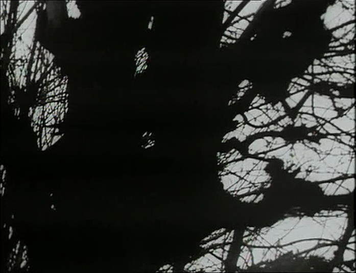 BFI (frame 10025)