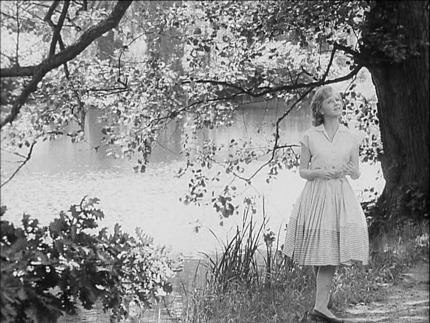 Eclipse / Criterion Collection (frame 19562)