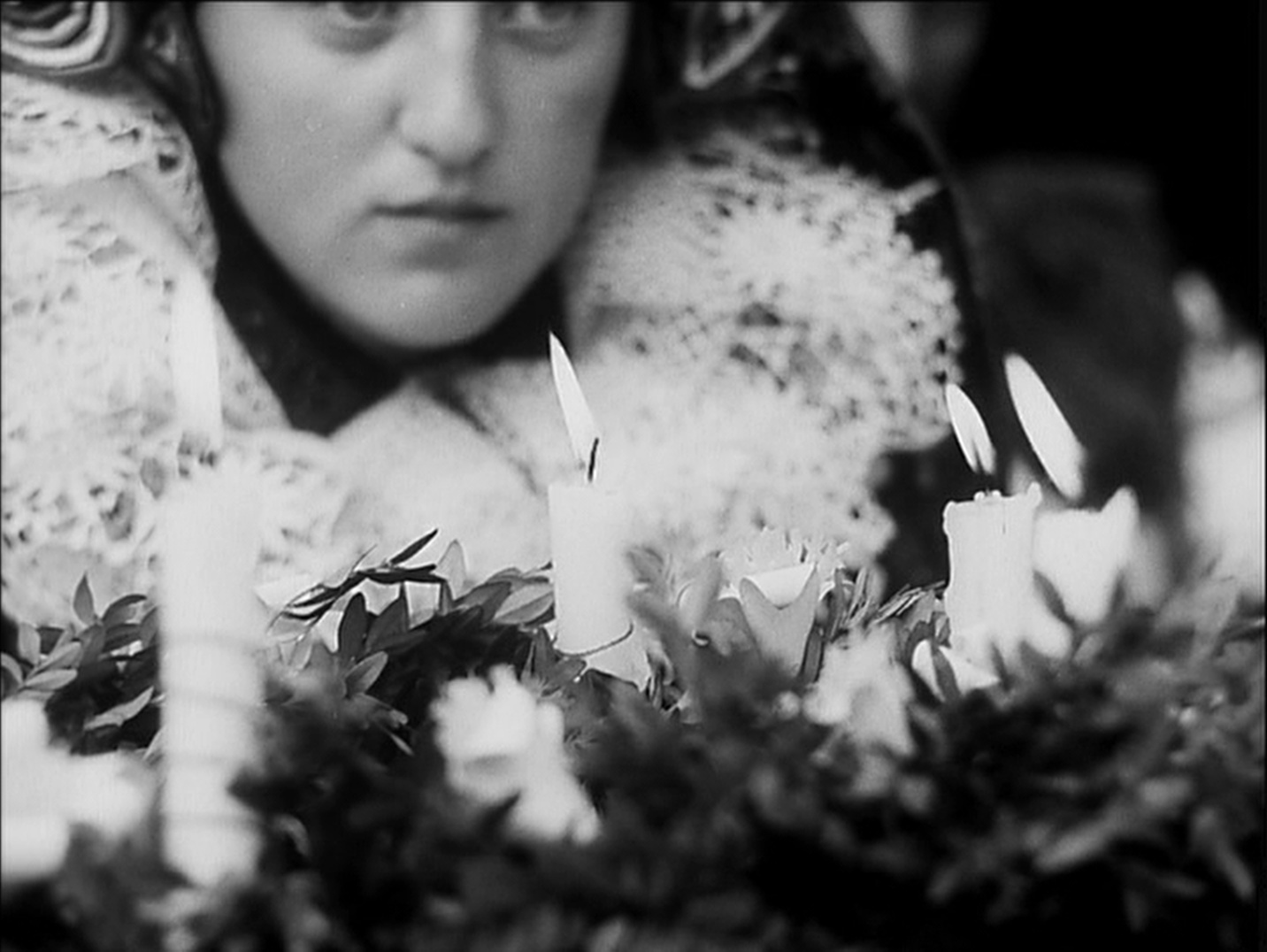 Eclipse / Criterion Collection (frame 101118)